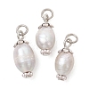 Natural Cultured Freshwater Pearl Pendants PALLOY-JF05555-1