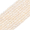 Natural Cultured Freshwater Pearl Beads Strands PEAR-F020-14-2