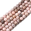 Natural Pink Zebra Jasper Beads Strands X-G-P231-01-6mm-2