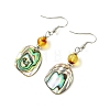 Natural Paua Shell Dangle Earrings EJEW-JE07429-02-4
