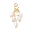 Natural Cultured Freshwater Pearl Pendants PALLOY-JF05435-1
