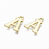 Alloy Charms PALLOY-Q441-025A-NR-3