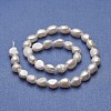 Natural Cultured Freshwater Pearl Beads Strands PEAR-P060-16D-2