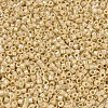 MIYUKI Delica Beads X-SEED-J020-DB1571-3