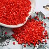 Cylinder Seed Beads SEED-H001-H19-2