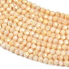 Electroplate Bicone Glass Beads Strands GL-T021-2.5x3mm-16-15-3