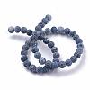 Frosted Natural Weathered Agate Beads Strands G-F367-8mm-05-2