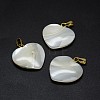 Shell Pendants SSHEL-E564-23A-G-1