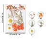 PET Waterproof Self Adhesive Dried Flower Stickers Sets PW-WG14974-02-1