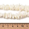 Natural White Mother of Pearl Shell Chip Bead Strands X-G-M205-63-6
