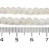 Natural White Moonstone Beads Strands X-G-D294-4mm-02-2