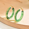201 Stainless Steel Acrylic Hoop Earrings for Women IG1029-6-1