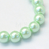 Baking Painted Pearlized Glass Pearl Round Bead Strands HY-Q003-6mm-04-2