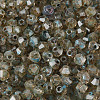 Picasso Glass Seed Beads SEED-N011-02C-2