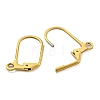 Ion Plating(IP) 304 Stainless Steel Leverback Earring Findings X-STAS-P360-02B-G-2
