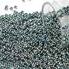 TOHO Round Seed Beads SEED-XTR11-0512-1