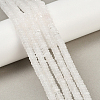 1 Strand Natural Quartz Crystal Beads Strands G-PA0002-16-3