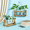2 Bags Rustic Triple Glass Hydroponic Vase with Wooden Stand AJEW-TW0001-38-4