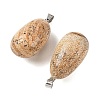 Natural Picture Jasper Tumbled Stone Pendants GG-K002-06F-2