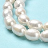 Natural Cultured Freshwater Pearl Beads Strands PEAR-E016-085-4
