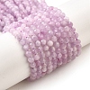 Natural Kunzite Beads Strands G-G259-D11-4mm-2