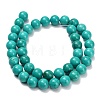 Natural Howlite Beads Strands G-Z149-A01-10mm-3