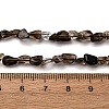 Natural Smoky Quartz Beads Strands G-I389-A31-01B-5