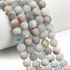 Natural Aquamarine Beads Strands G-P626-12mm-03-1