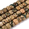 Natural Verdite Stone Beads Strands G-Q616-02A-05-2