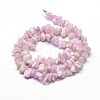 Natural Kunzite Chip Beads Strands X-G-E271-79-2