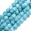 Natural Malaysia Jade Beads Strands G-B165-C09-10mm-2
