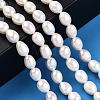 Natural Cultured Freshwater Pearl Beads Strands X1-PEAR-N012-05M-6