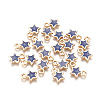 Alloy Enamel Charms PALLOY-TAC0011-29A-04-2