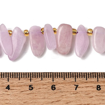 Natural Kunzite Beads Strands G-P604-A26-01-1