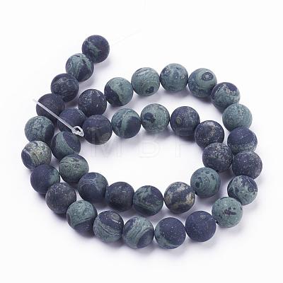 Natural Kambaba Jasper Beads Strands G-F520-53-10mm-1