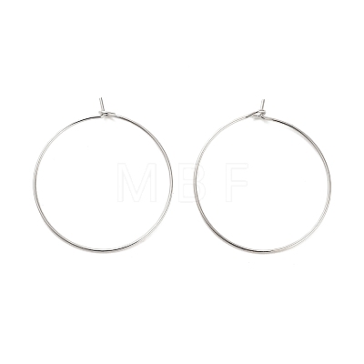 Brass Hoop Earring Findings KK-R112-038D-1