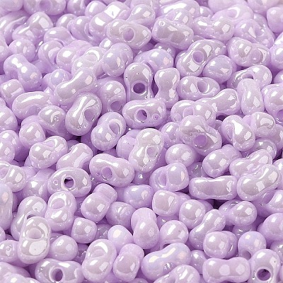 Glass Seed Beads SEED-K009-02B-06-1