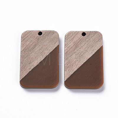 Opaque Resin & Walnut Wood Pendants RESI-T035-38G-1