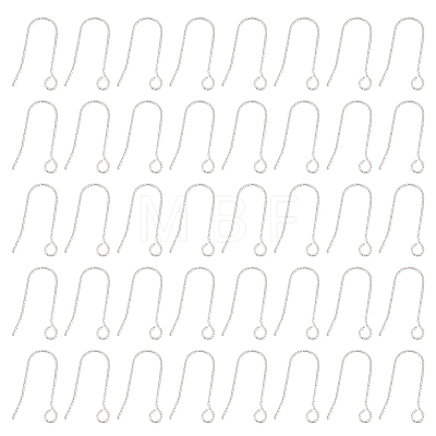 100Pcs 316 Stainless Steel Earring Hooks STAS-UN0041-94-1