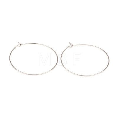 316L Surgical Stainless Steel Hoop Earring Findings STAS-G229-07P-05-1