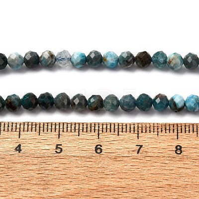 Natural Apatite Beads Strands LS-G-A276-C08-4mm-01-1