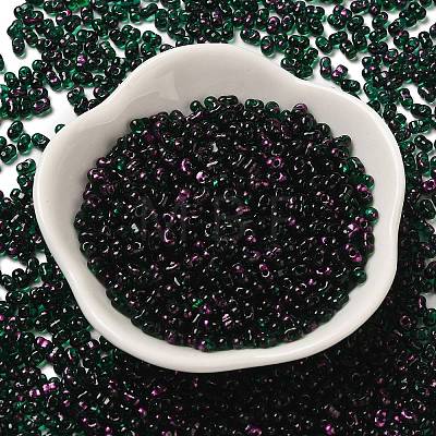 Spray Painted Glass Seed Beads SEED-F005-10A-03-1