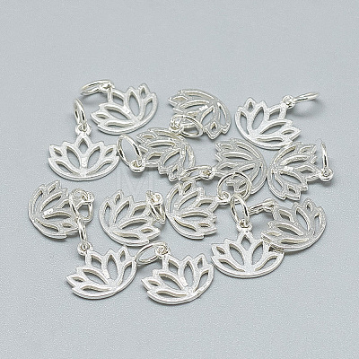 925 Sterling Silver Charms STER-T002-277S-1