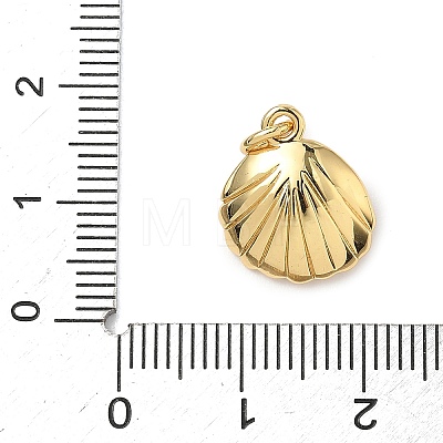 Shell Brass Charms KK-D426-17D-G-1