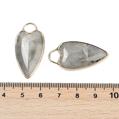 Natural Labradorite Pendants G-G193-02G-05-1