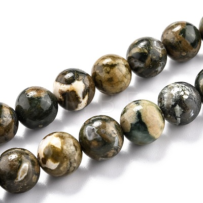 Natural Rhyolite Jasper Beads Strands G-O199-08C-1