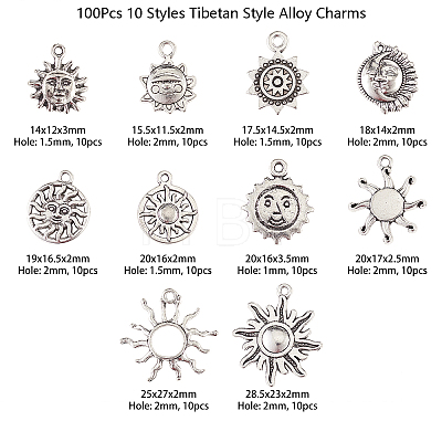 100Pcs 10 Styles Tibetan Style Alloy Charms TIBEP-CJ0001-59-1