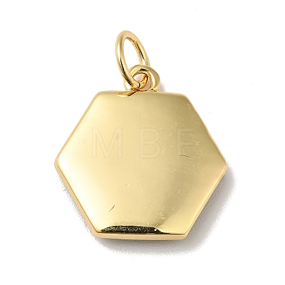 Rack Plating Brass Enamel Pendants KK-H431-10G-1