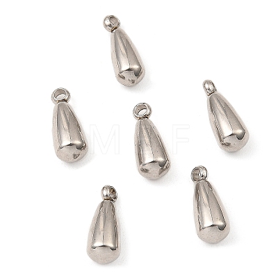 201 Stainless Steel Tail Chain Drop Charms STAS-D061-04E-P-1