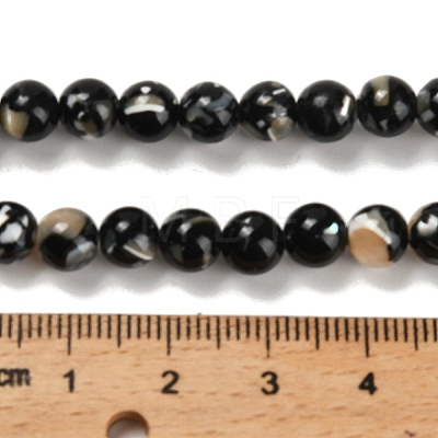 Assembled Synthetic Stone and Trochus Shell Beads Strands G-B128-08B-04-1